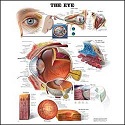 The Eye - Poster